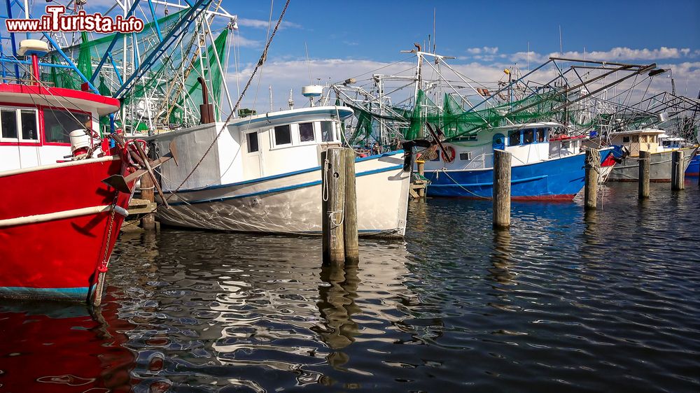 Immagine Barche da pesca colorate ormeggiate al porto di Biloxi, Mississipi, Stati Uniti.