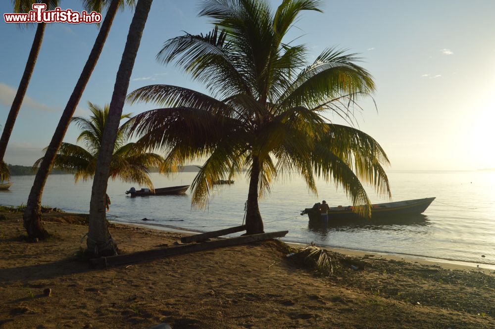 Immagine Barche in legno ormeggiate al tramonto vicino alla spiaggia con palme, Suriname (Sud America).