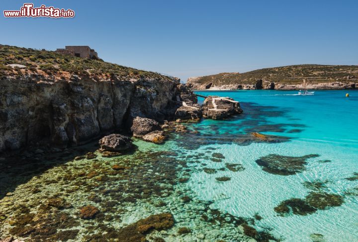 Immagine Blue Lagoon di Comino, Malta - Tra Comino e Cominotto si trova la bellissima Blue Logoon, o Bejn il-kmiemen come si chiama in maltese, considerata una delle principali attrazioni turistiche dell'isola. Questa baia è un mix di acqua trasparente, rocce scintillanti, sole e fiori della macchia mediterranea che creano uno scenario naturale incantevole. Chi lo desidera può avventurarsi in trekking, fare snorkeling e windsurf ma anche romantiche gite in barca © Lukas Jonaitis / Shutterstock.com