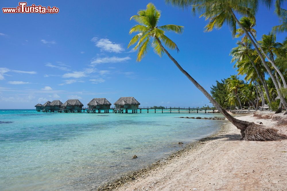 Immagine Bungalows di un resort sull'atollo di Tikehau, Tuamotu, Polinesia Francese.