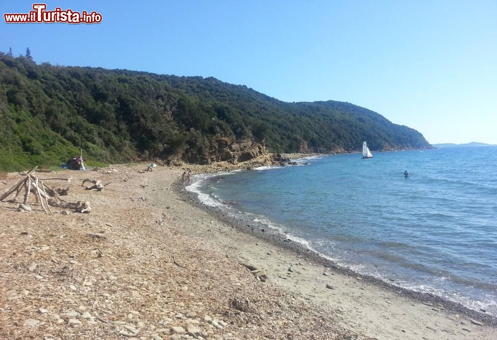 Immagine Cala Martina o del Puntone a Scarlino di Grosseto in Toscana - © Assianir, CC BY-SA 3.0, Wikipedia