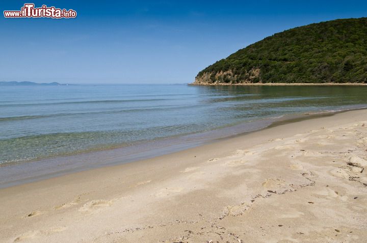 Immagine Cala Violina si trova nel territorio del Comune di Scarlino, una delle spiagge più belle del mare della Toscana - © loreanto / Shutterstock.com