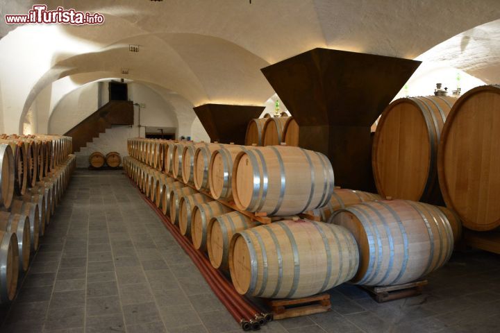 Immagine Cantina  Alois Lageder a Magrè Alto Adige, lungo la Strada del vino