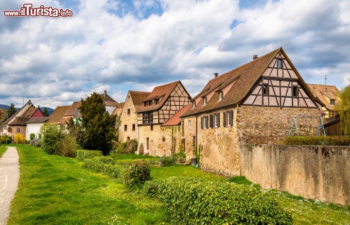 Le foto di cosa vedere e visitare a Bergheim