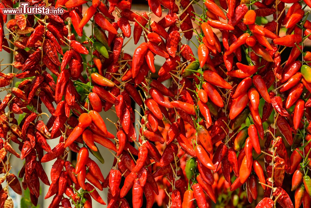 Immagine Sagra del peperoncino a Diamante in Calabria.