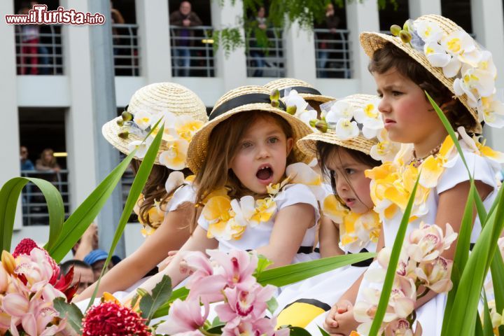 Immagine Flower Festival di Madeira (Portogallo) con uno scatto dolcissimo sul "Muro della Speranza"- Un dettaglio non trascurabile e dalla straordinaria bellezza quello che suscita questa immagine. Bimbe che per un giorno possono essere le principesse di una fiaba, esattamente come quelle che conoscono a memoria. Nonostante il Flower Festival sia attivo a Madera da diversi anni, solo recentemente è stato introdotto il "Muro della Speranza". Questo, come si evince dall'immagine, riguarda una parete in cui i bimbi diventano protagonisti indossando e posando fiori al fine di trasmettere un messaggio di positività e pace per tutta la collettività  - © Anna Breitenberger / Shutterstock.com
