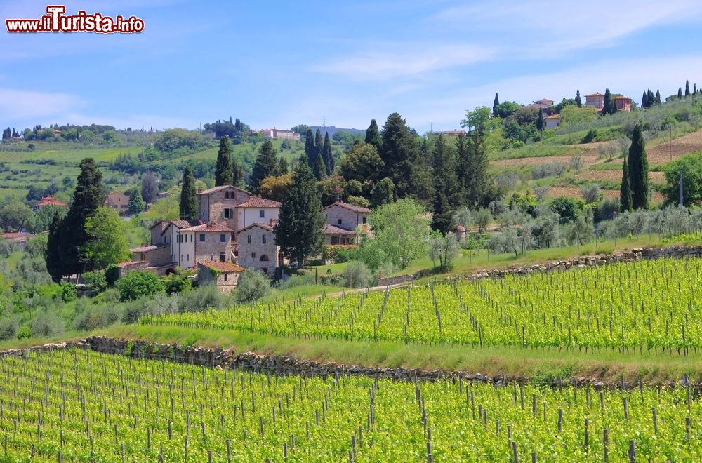 Paesaggio di Panzano in Chianti
