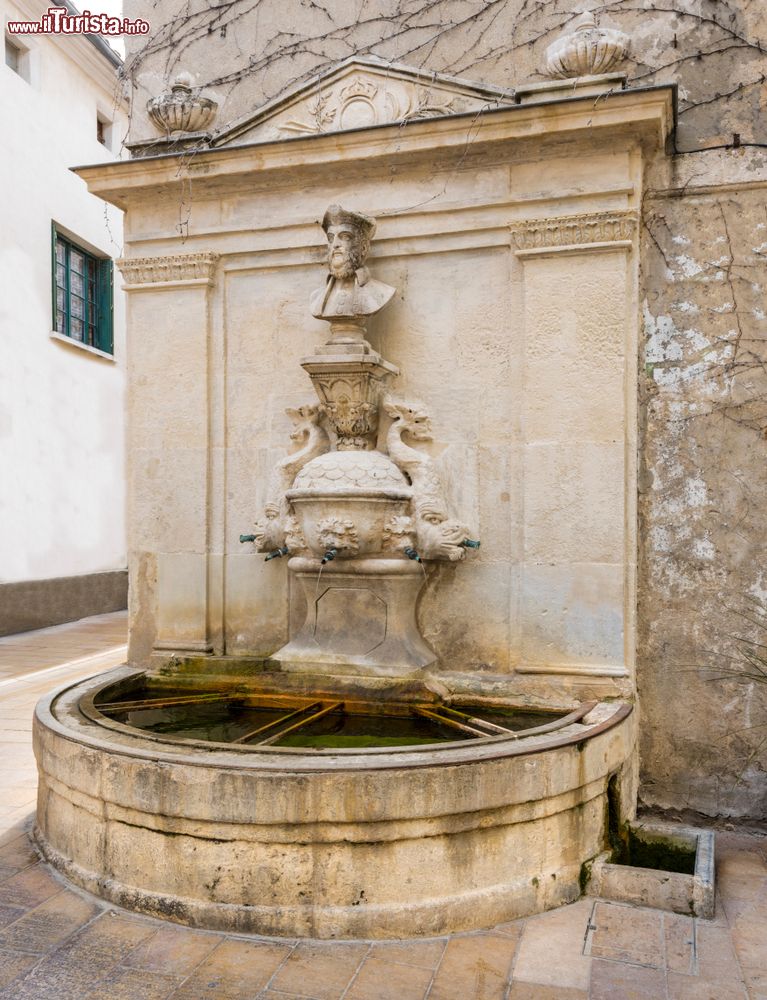 Immagine Il busto di Nostradamus su una fontana in centro a Saint-Remy-de-Provence (Francia).