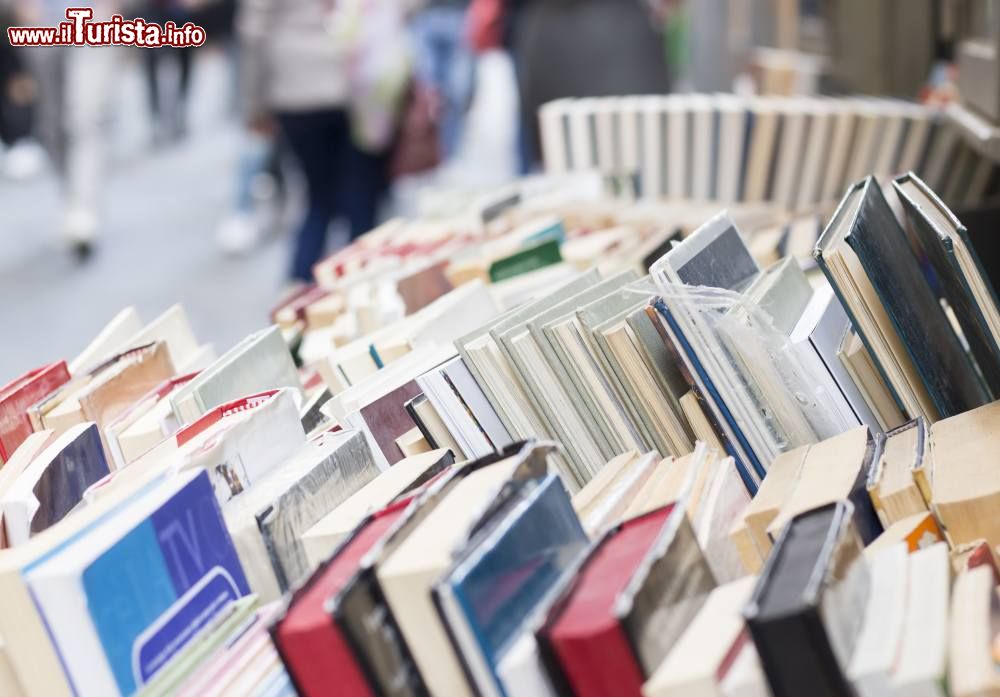Immagine  il Libro ritrovato a Torino il Mercatino del libro del capoluogo del Piemonte