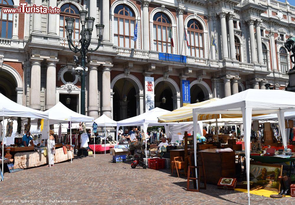 Immagine Il Mercatino dell'Antiquariato in centro a Torino - © hydra viridis / Shutterstock.com