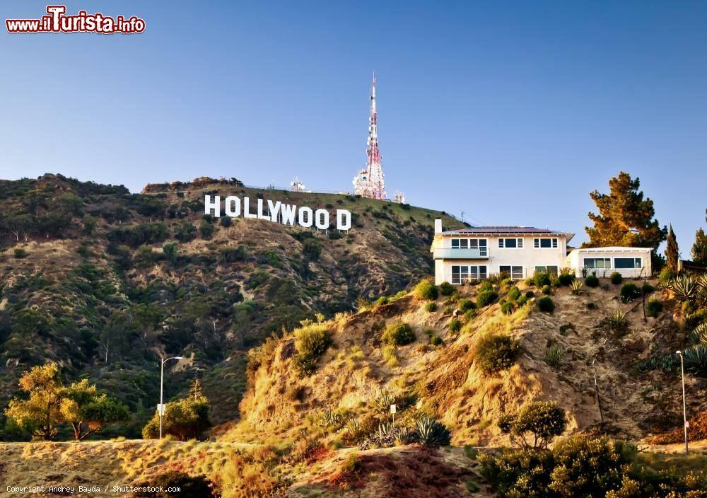 Immagine Il Mount Lee e la Scritta di Hollywood che forse sarà collegata a Los Angeles da una telecabina - © Andrey Bayda / Shutterstock.com
