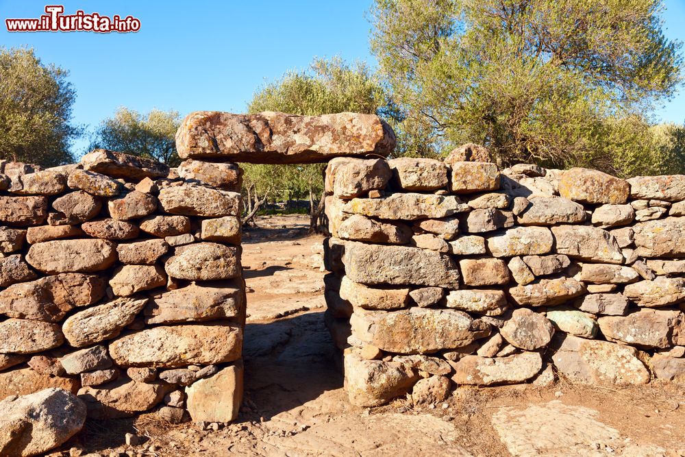 Immagine Il villaggio nuragico di Serra Orrios a Dorgali, Sardegna. Sorge su un altopiano basaltico, fra ulivi secolari e macchia di lentischio, ed è uno siti nuragici meglio conservati di tutta la Sardegna.