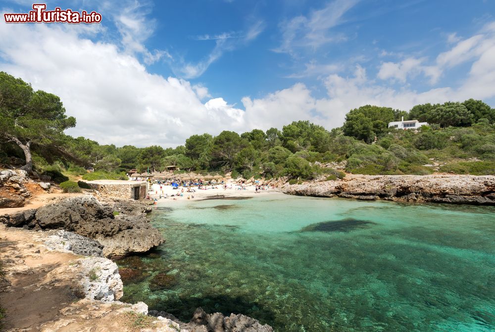 Immagine La spiaggia di Sa Nau a Maiorca, isole Baleari, Spagna. Questa località si trova a 13 km da Portocolom ed è caratterizzata da sabbia con grani bianchi e fini circondata da scogliere, arbusti e pini.