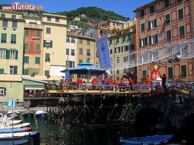 Immagine L'area dedicata alla frittura duranta la Sagra del Pesce di Camogli - © Alessio Sbarbaro - CC BY-SA 3.0 - Wikipedia