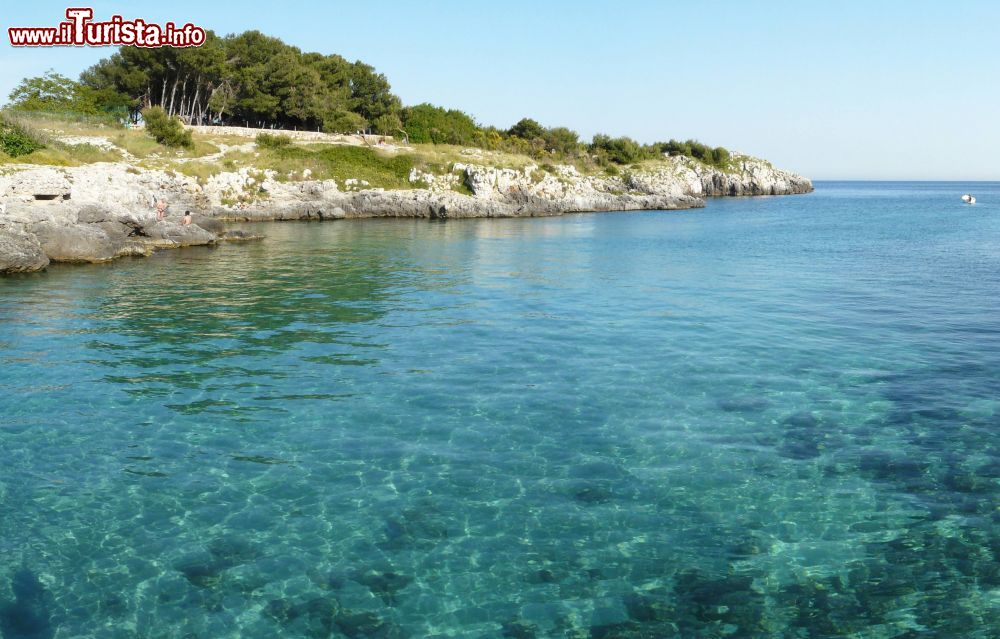 Le foto di cosa vedere e visitare a Porto Badisco