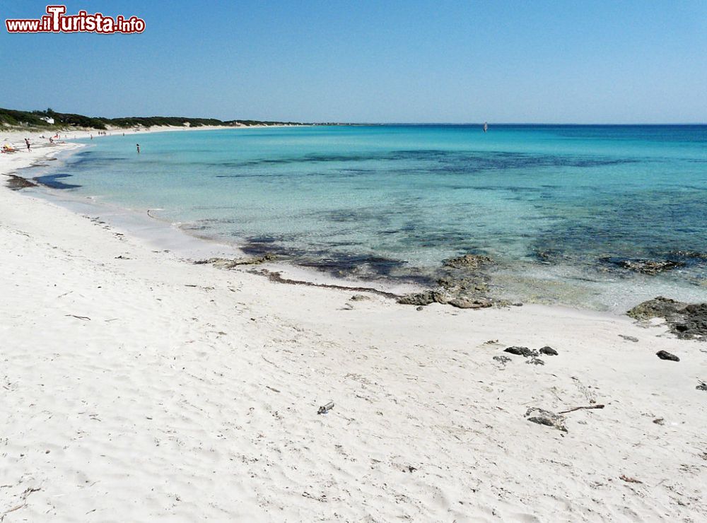 Le foto di cosa vedere e visitare a Punta Prosciutto