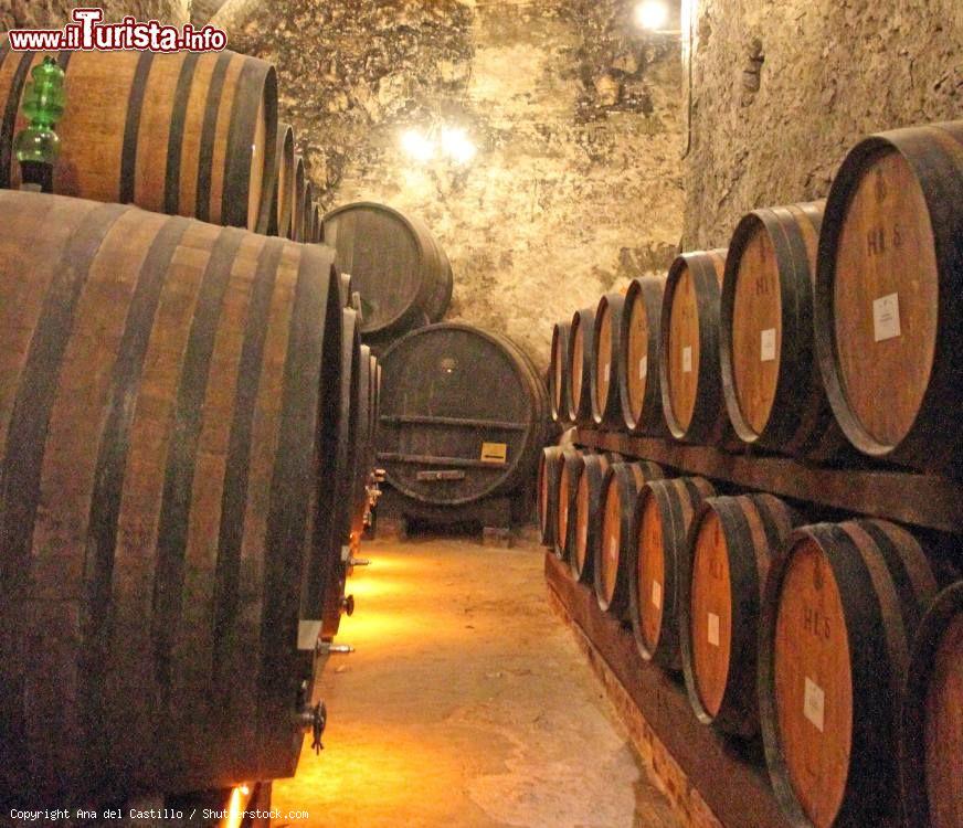 Immagine La Cantina del Redi collocata all'interno di Palazzo Ricci a Montepulciano, città della Toscana famosa per il suo pregiato vino - © Ana del Castillo / Shutterstock.com