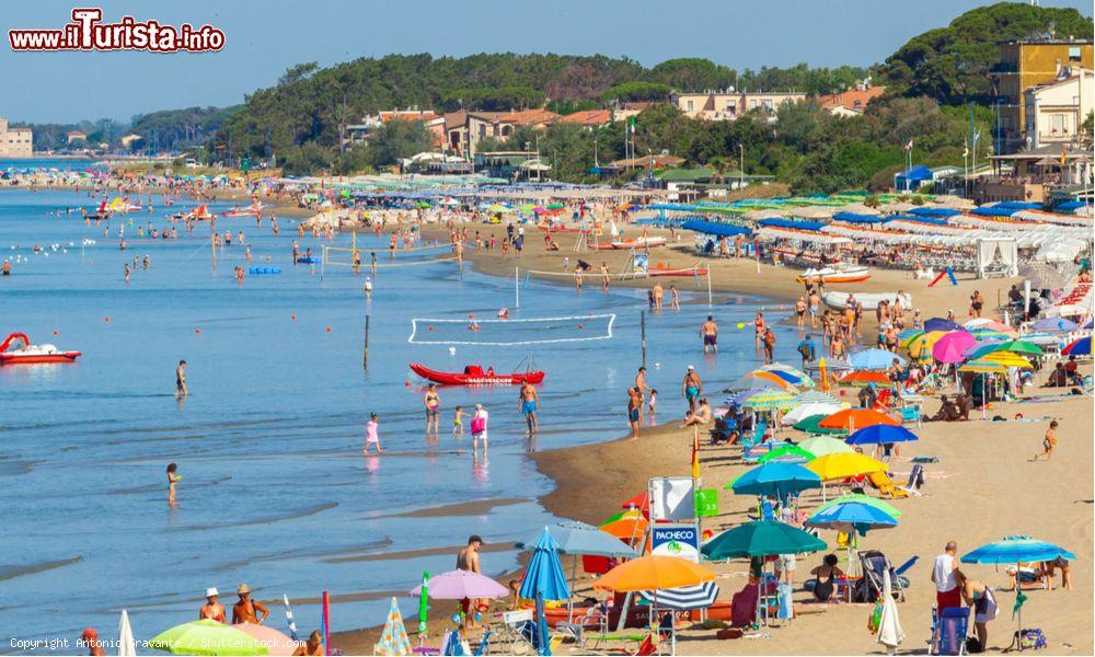 Immagine La grande spiaggia di Follonica in Toscana: presenta stabilimenti balneari e tratti liberi - © Antonio Gravante / Shutterstock.com