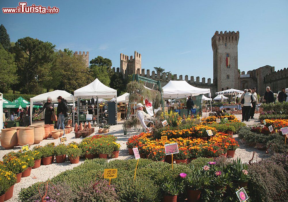 Immagine La manifestazione Este in Fiore in Aprile, evento floreale in Veneto