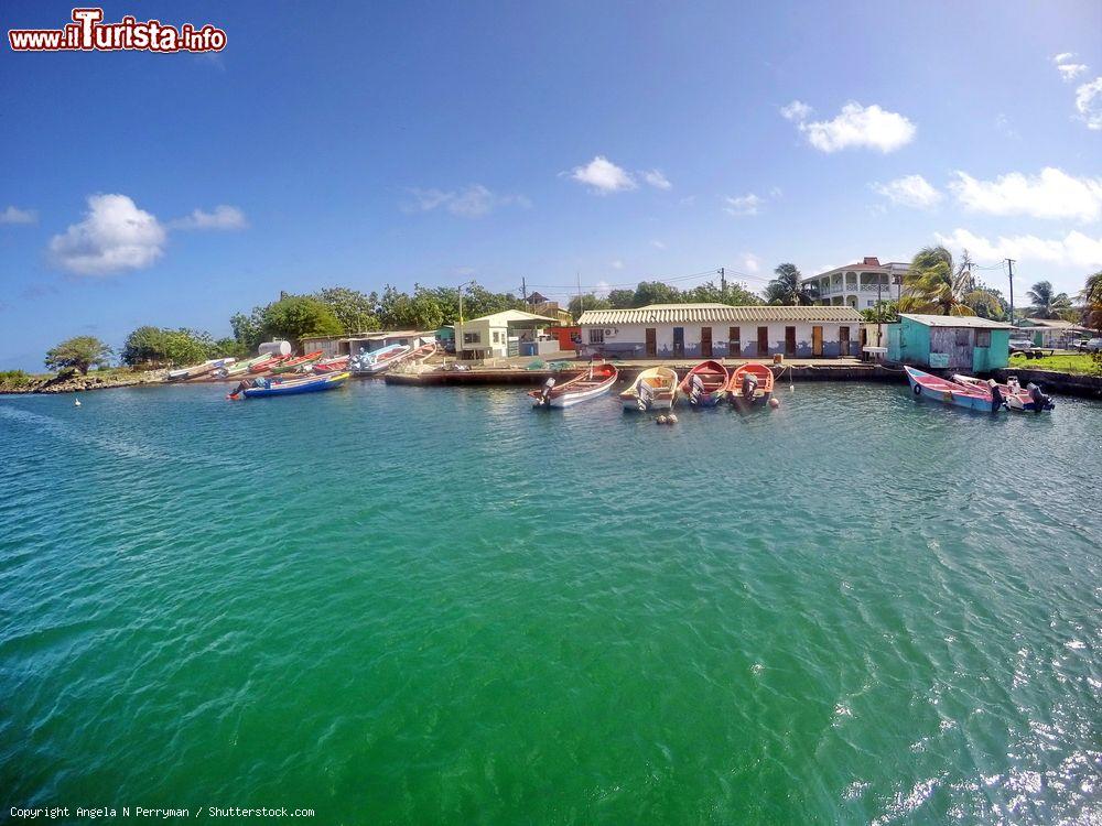 Immagine La marina del porto di Rodney Bay, sull'isola di Saint Lucia - © Angela N Perryman / Shutterstock.com