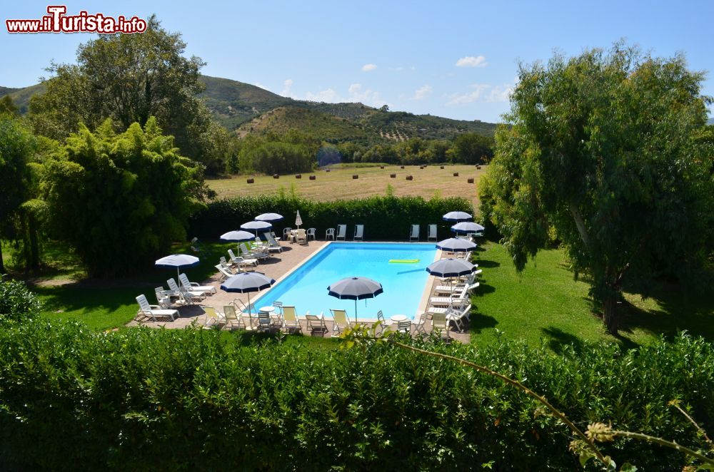 Immagine La piscina della Azienda Agricola la Pertosa in Cilento, regione Campania