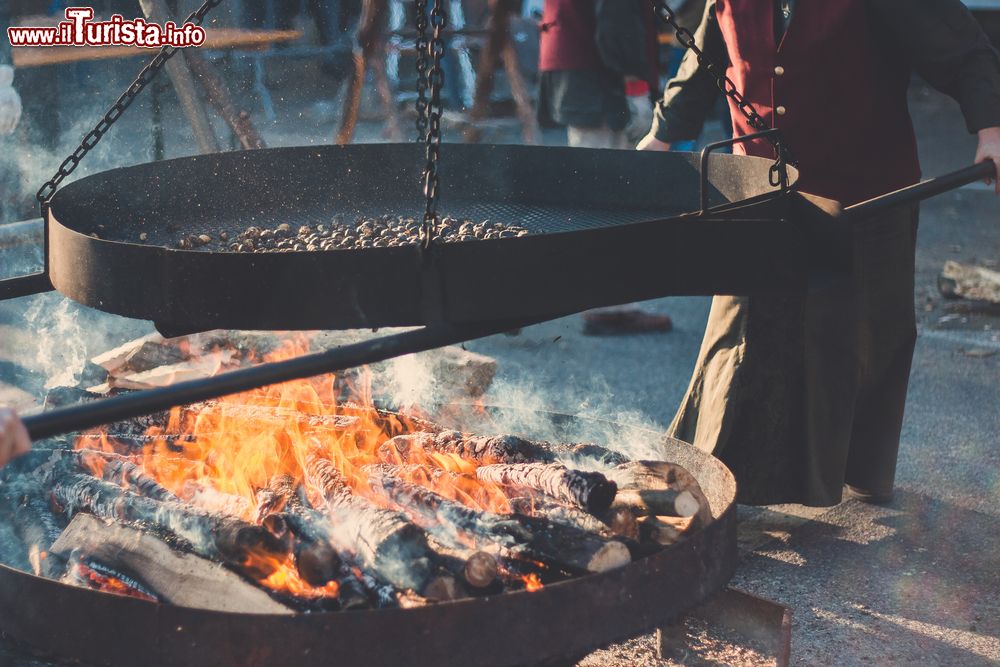 Immagine La Sagra della Castagna a San Donato di Ninea:festa d'autunno