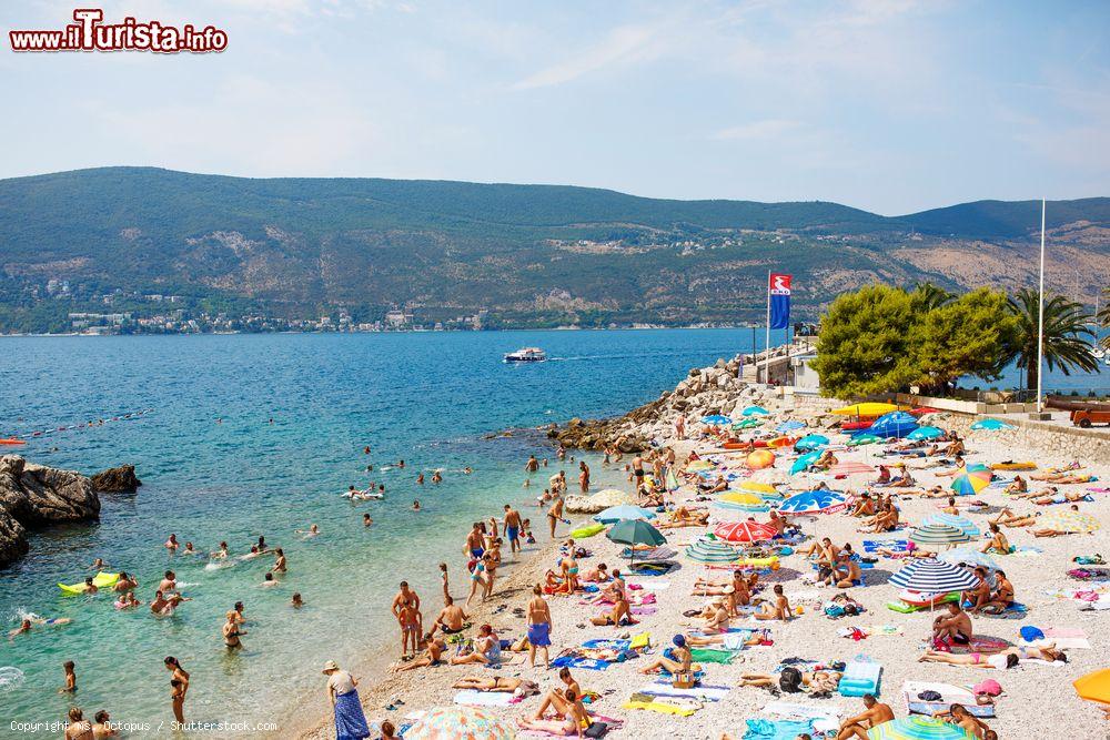 Immagine La spiaggia affollata in estate di Herceg Novi, Montenegro - © ms. Octopus / Shutterstock.com