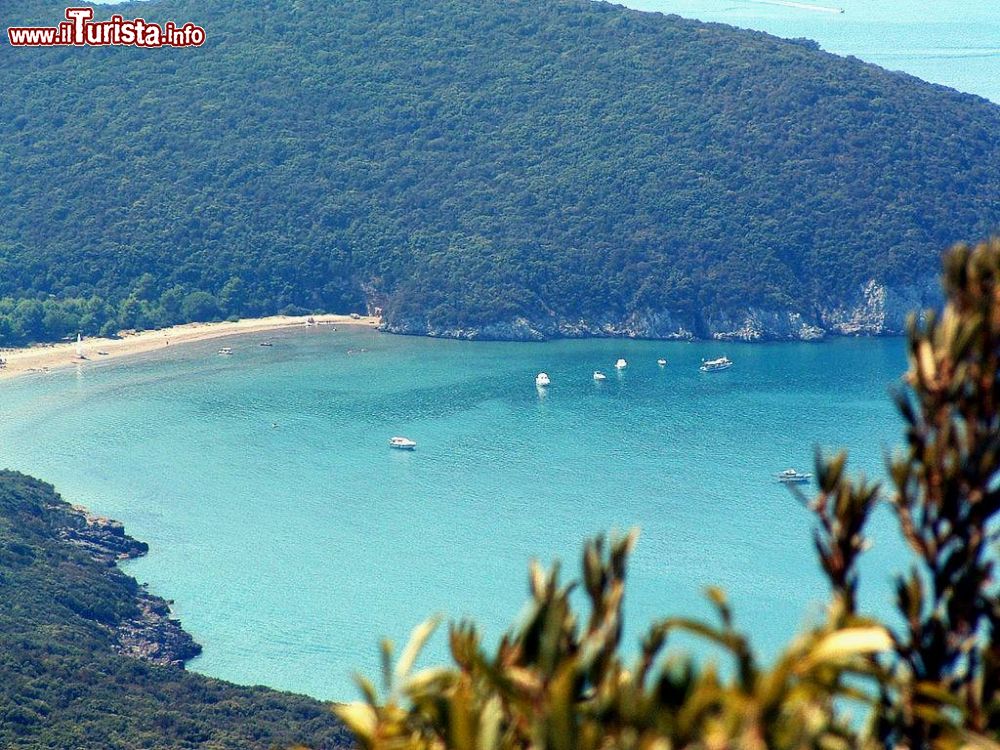 Immagine La spiaggia di Cala di Forno a sud-est di Marina di Alberese in Maremma, Toscana - © CC BY-SA 2.5, Wikipedia