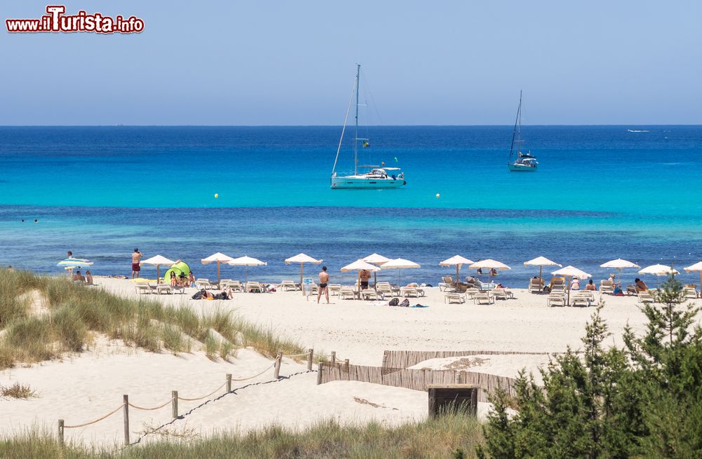 Immagine La spiaggia di Cala Saona a Formentera, Isole Baleari in Spagna.