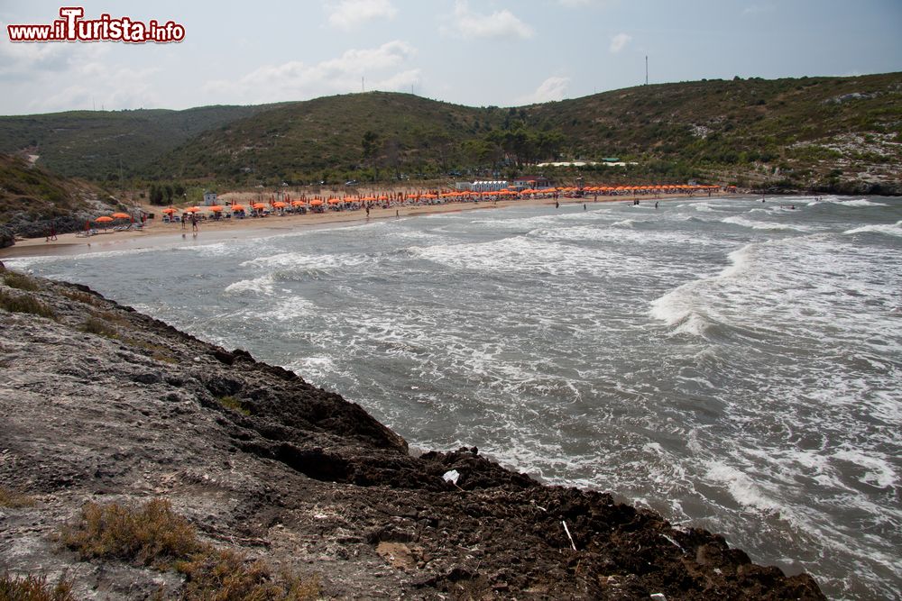 Immagine La spiaggia di Calalunga a Peschici sul promontorio del Gargano