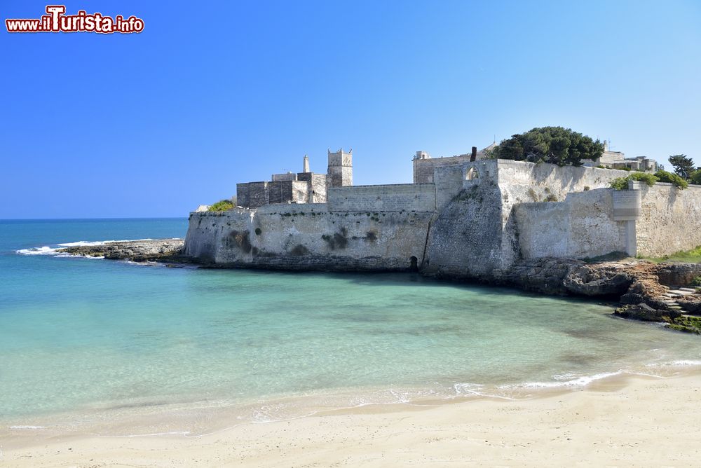 Immagine La spiaggia di Porto Ghiacciolo a Monopoli, Puglia. Situata ai piedi dell'abbazia di Santo Stefano (sullo sfondo della foto), questa caletta presenta una larga distesa di sabbia lambita da un'acqua limpida e verde. Si chiama "ghiacciolo" perchè l'acqua è sempre fredda.