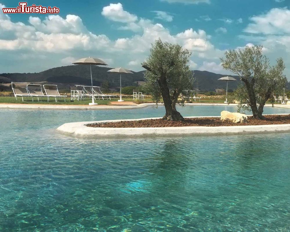 Immagine Le Piscine naturali delle Terme di Vulci nel Lazio