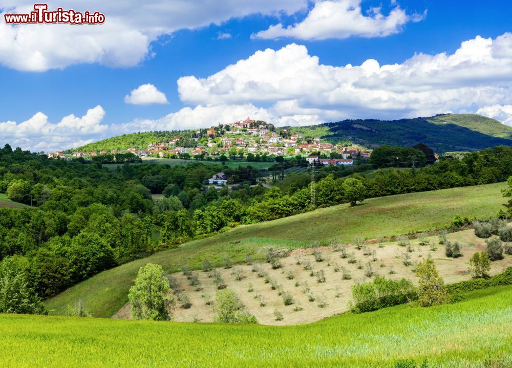 Le foto di cosa vedere e visitare a Montegabbione