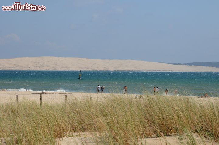 Immagine Panorama sulla spiaggia incontaminata di Cap Ferret in Aquitania, Francia. Questo capo forma un cordone litorale all'estremità meridionale della penisola di Lège-Cap Ferretnel dipartimento della Gironda. A causa delle difficoltà nell'accedervi, questo territorio è stato a lungo un luogo poco frequentato. Sullo sfondo la duna di Pilat, la più alta d'Europa: si estende su una superficie larga 500 metri da ovest a est e 3 km da nord a sud - © 105493277 1 / Shutterstock.com