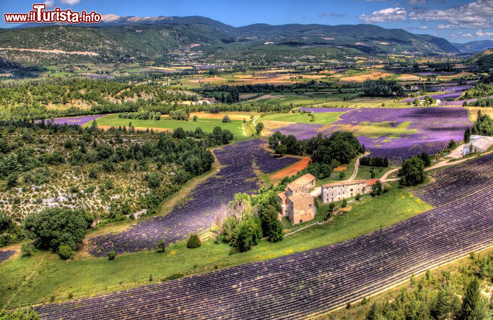 Immagine Parc Naturel Regional du Luberon, il panorama sui campi di lavanda della Provenza e il Monte Ventoux sullo sfondo.