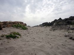 Sabbia e scogliere a Favignana, Sicilia. Il paesaggio di questa bella isola delle Egadi alterna tratti sabbiosi a zone di scogli


