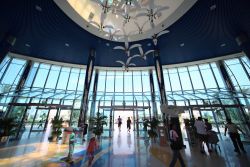Il Marina Mall di Abu Dhabi non è un centro commerciale come gli altri: qui ci sono piste da pattinaggio e da bowling, un cinema multisala, una piattaforma panoramica alta 100 metri e ...