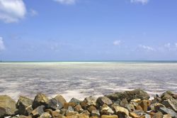 Anegada, British Virgin Islands – Vista dalla strada principale di Anegada, l’isola più settentrionale di tutte le Isole Vergini Britanniche. La sua caratteristica è ...