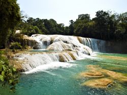 L'altezza delle cascate Agua Azul (nei pressi di Palenque, Messico) non è sensazionale, ma il paesaggio circostante e il colore azzurro dell'acqua, soprattutto nelle giornate ...