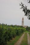 Aquileia Vista della Basilica dalle campagne