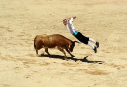 Nella Arena di Pamplona (Navarra, Spagna) le corride si svolgono sin dalla fine del Trecento, e furono istituzionalizzate alla fine del Cinquecento. Ancora oggi sono uno degli eventi salienti ...