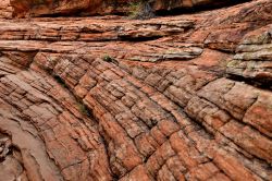 Arenarie antichissime al Kings Canyon in Australia - In questa immagine si può vedere un classico esempio di stratificazione incrociata di arenarie. Queste strutture sono tipiche di sedimentazioni ...