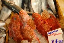 Il mercato del pesce di Atene