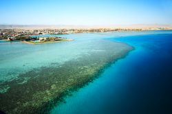 La barriera corallina dell'Egitto nei dintorni di Hurghada raggiunge elevati livelli di spettacolarità nei tratti di Reef di El Gouna, una delle località balneari più ...