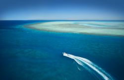 La barriera corallina del Mar Rosso offre splendidi luoghi per immersioni e snokeling al largo di El Gouna in Egitto - © Nneirda / Shutterstock.com