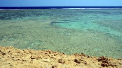 La barriera corallina di Marsa Alam, nel Mar Rosso centrale in Egitto. In primo piano la laguna costieram in fondo il blu della zona esterna al reef - © maudanros / Shutterstock.com