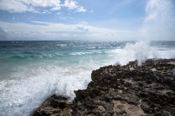 Un Blow hole, cioè un geyser di acqua di mare, lungo la costa di Cozumel in Messico. Questi fenomeni son ocausati dalla pressione delle onde che riempiono delle cavità sotterranee ...