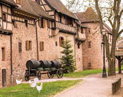Botti di vino e palazzi medievali a Riquewihr, Francia - Il binomio vini pregiati e urbanistica medievale rappresenta alla perfezione l'essenza di questo borgo incastonato in Alsazia dove ...