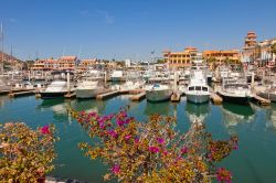 Cabo San Lucas: la marina della famosa città posta all'estremità meridionale della Bassa California, in Messico - © Ruth Peterkin / Shutterstock.com