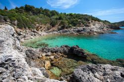 La cala solitaria della bella spiaggia di Felciaio. Siamo sull'Isola d'Elba in Toscana - © Roberto Ridi